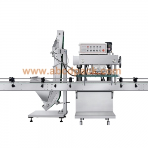 Automatic capping machine with bunker elevator caps sorting device