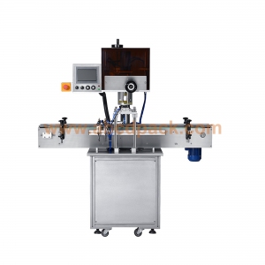 Torque control auto capping machine